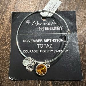 Alex & Ani November Bracelet B52